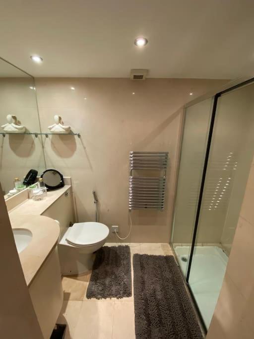 Spacious Flat In The Most Desirable Area Of London Luaran gambar