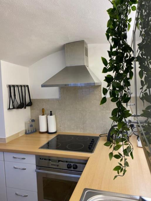 Spacious Flat In The Most Desirable Area Of London Luaran gambar